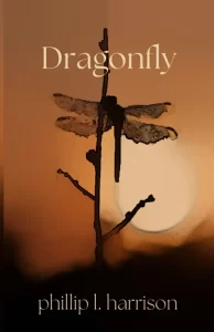 Dragonfly Book Cover